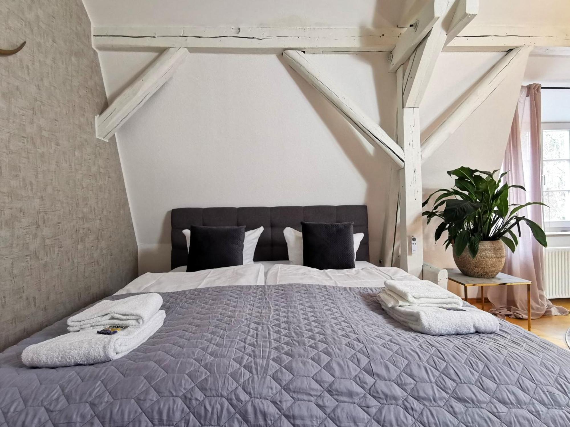 Bohnapartments Steigerwald - Natur In Der Stadt - Vollausstattung - Wlan - Gratis Parkplaetze Ερφούρτη Εξωτερικό φωτογραφία