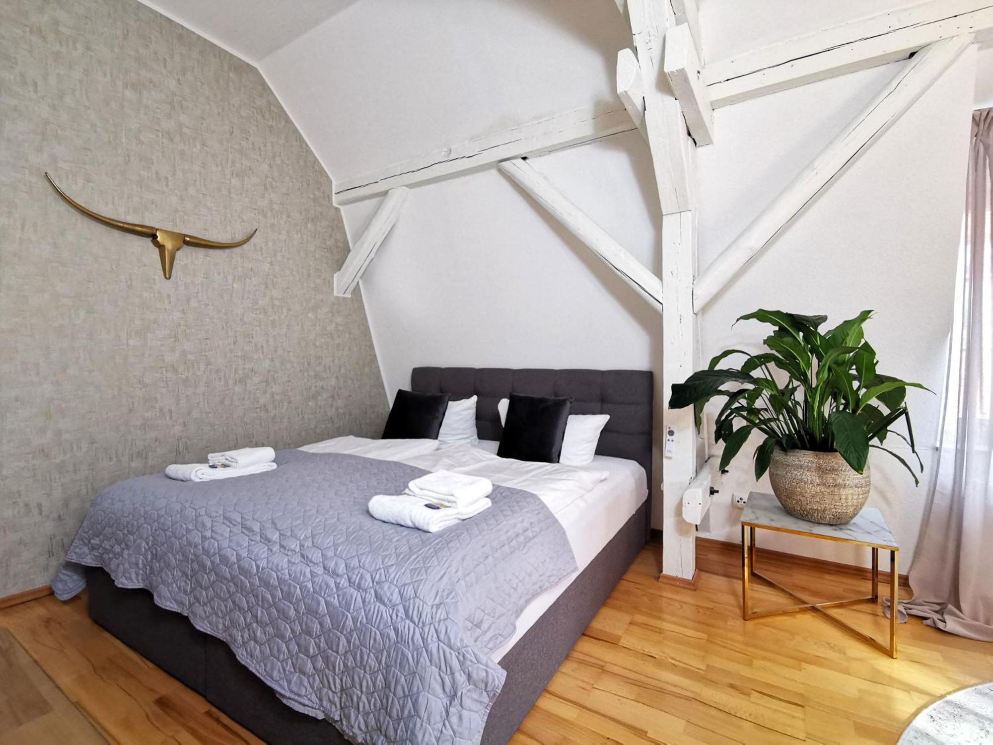 Bohnapartments Steigerwald - Natur In Der Stadt - Vollausstattung - Wlan - Gratis Parkplaetze Ερφούρτη Εξωτερικό φωτογραφία